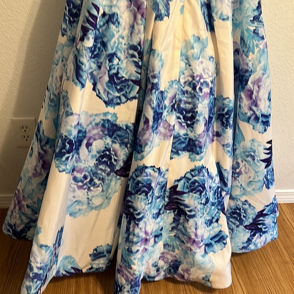 Gorgeous Madeline Gardner prom Dress Size 4 - Picture 9 of 16